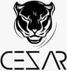 Cesar Store Logo